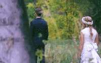 Wedding Videos