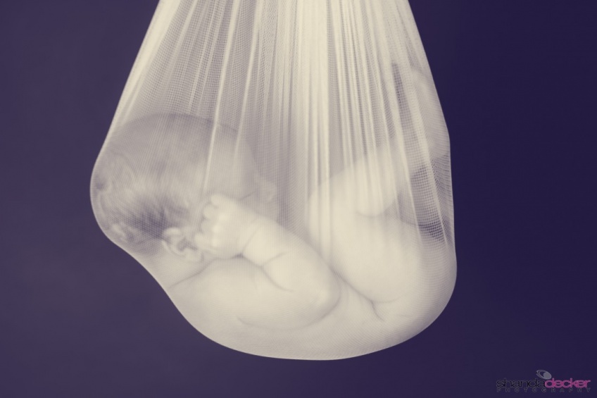 Infant Photography