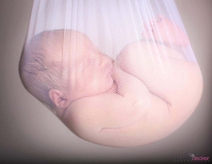 Newborn Photos