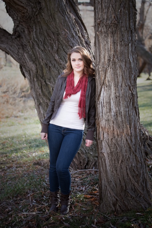 Old Tree Portrait Photo