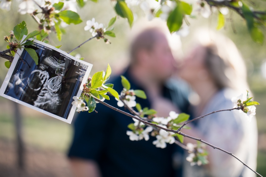 maternity_photographer (2)